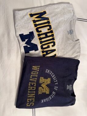 University of Michigan Mens Crewneck T-Shirt - Gray & Navy